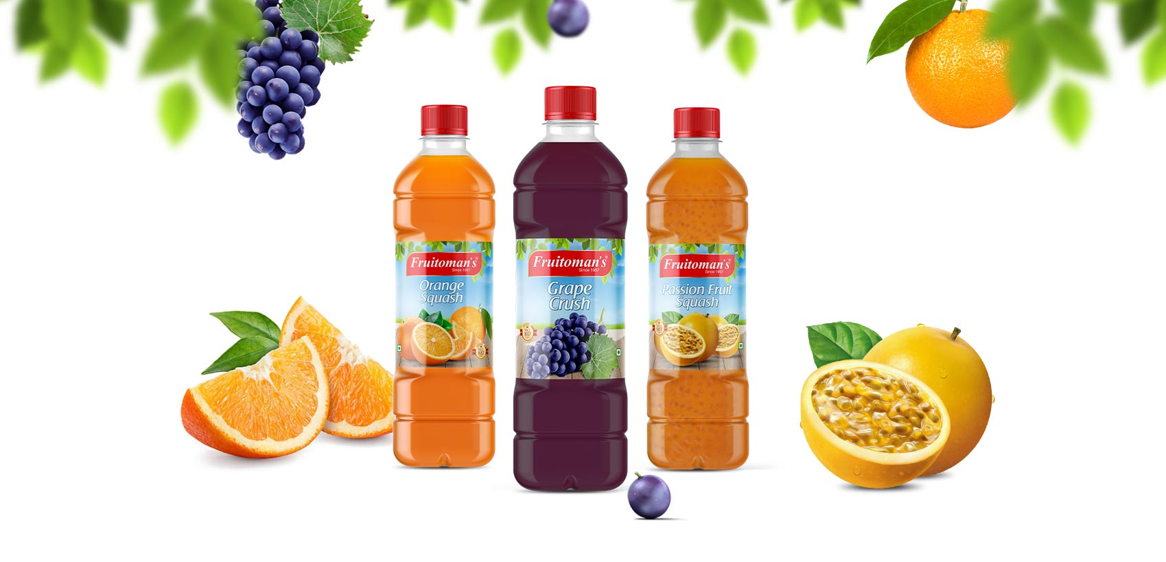 Rainbow Graph FRUITOMANS